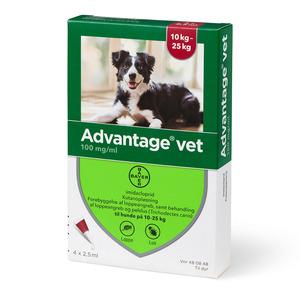Advantage for on Vet hund, 10-25 kg