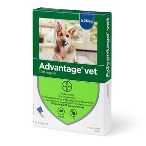 Advantage for one Vet dog, 25-40 kg