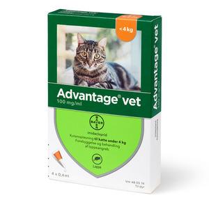 Advantage for-on Vet kat, 0-4 kg
